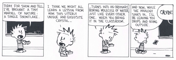 calvin and hobbes snowflake analogy of school