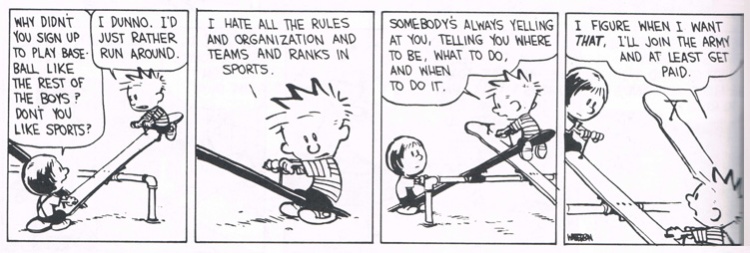 calvin and hobbes and susie and organized sport