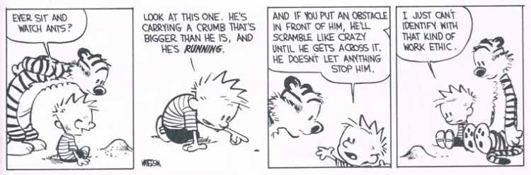 calvin and hobbes unable to relate to work ethic of an ant
