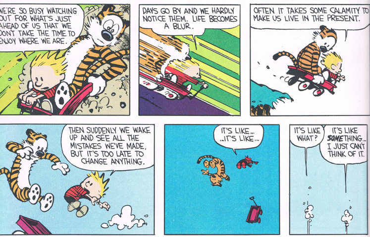 calvin and hobbes go down the wagon