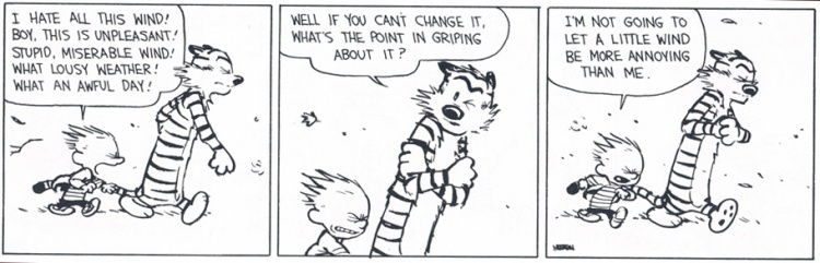 calvin and hobbes and annoying wind